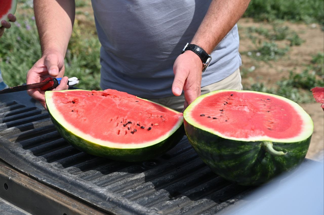 Какой сегодня день: 3 августа