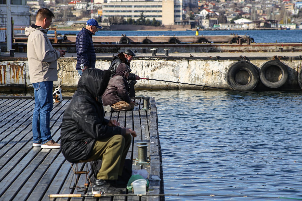 Роспотребнадзор рекомендует не вылавливать рыбу в районах, где отмечается загрязнение воды нефтепродуктами