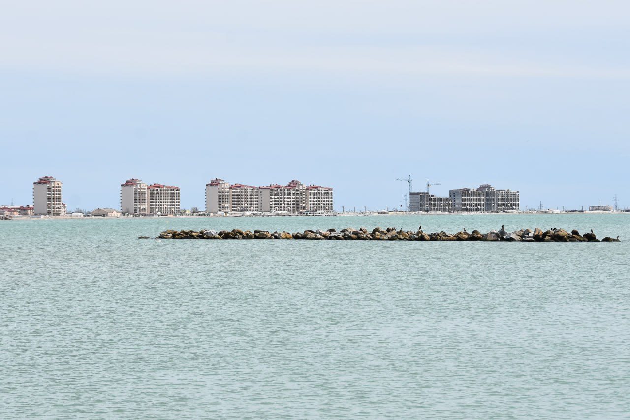 Ушла купаться в море и не вернулась: в Евпатории утонула 26-летняя девушка