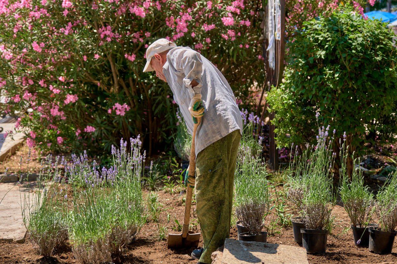 В Гурзуфе высадят более 4000 растений