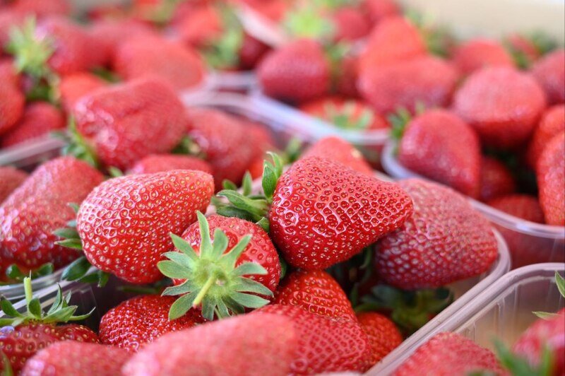 Как в Крыму проверяют клубнику на нитраты