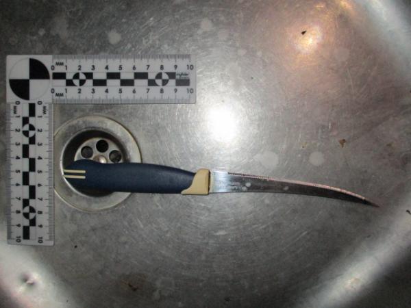 В Сакском районе пьяный пенсионер зарезал пенсионера-собутыльника