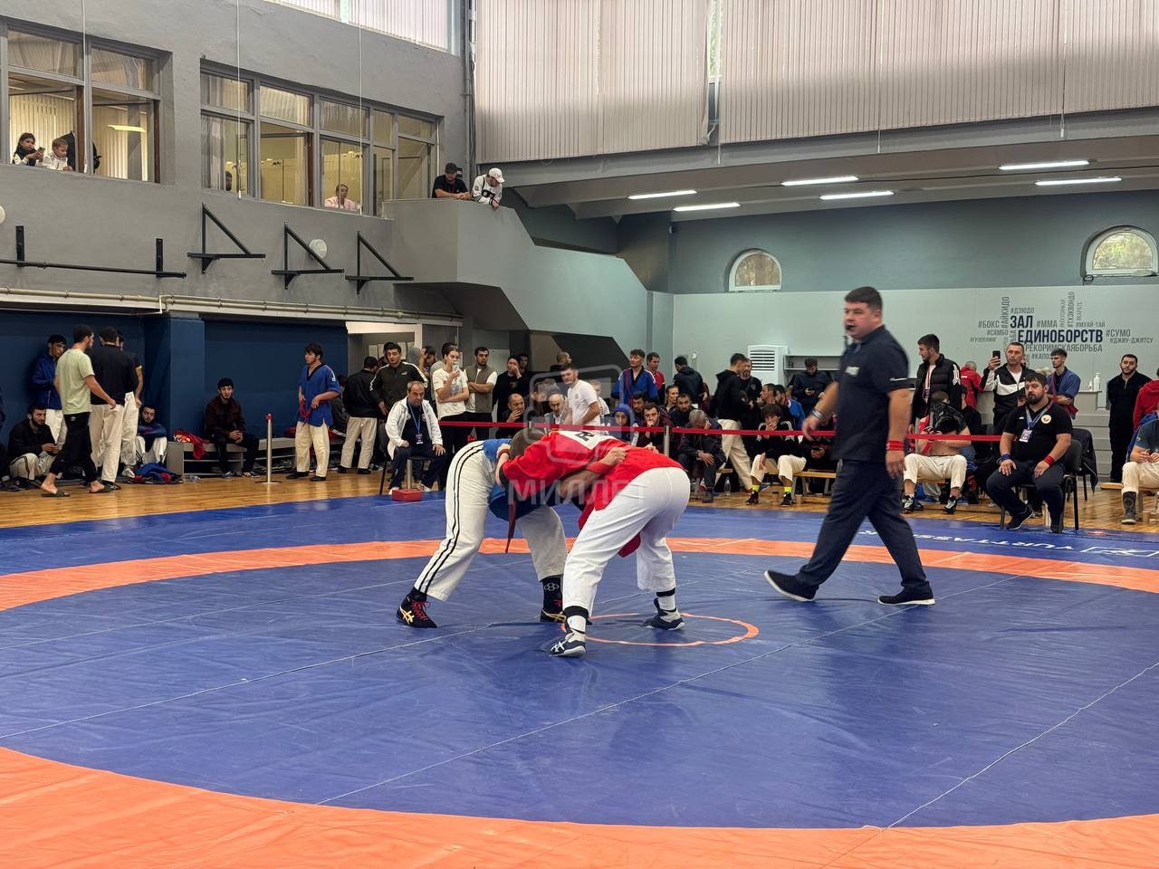 В Крыму впервые состоялся Кубок России по борьбе на поясах
