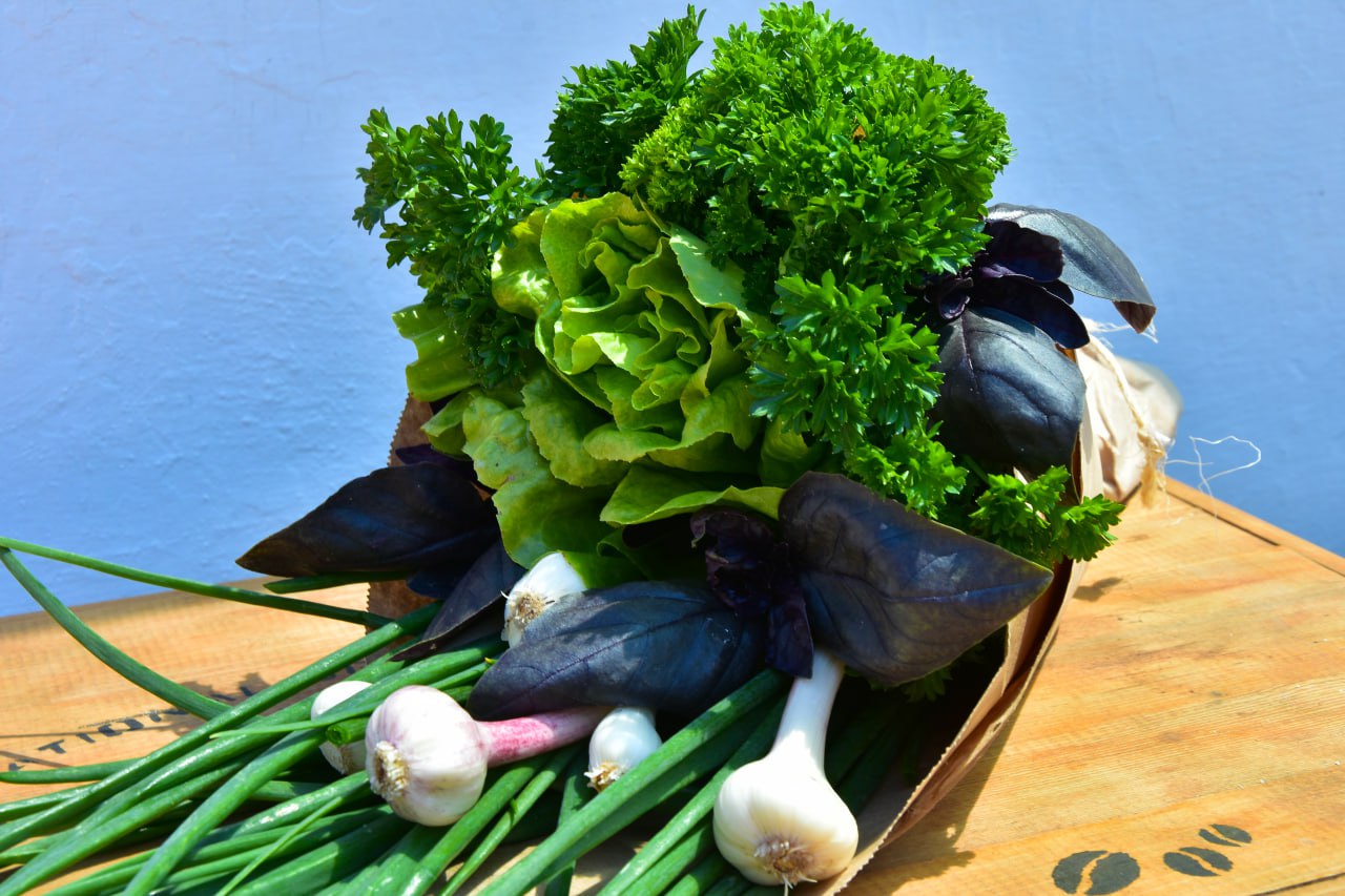 Летняя перезагрузка: как изменить рацион для улучшения пищеварения