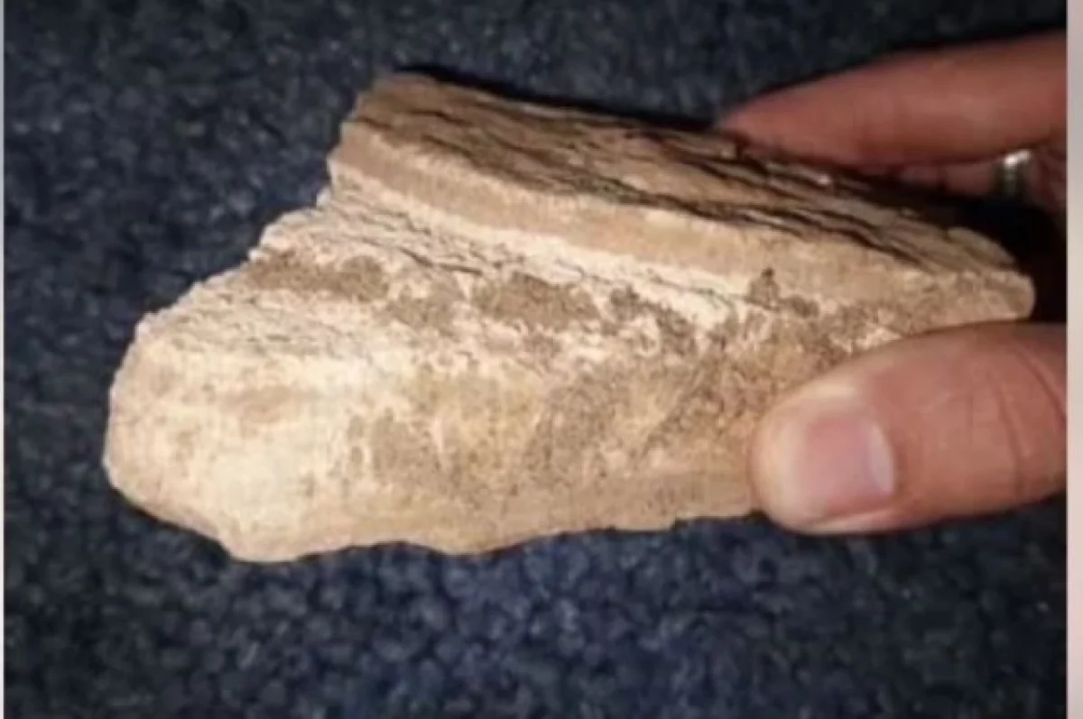 В Севастополе продают камень из бункера Гитлера 