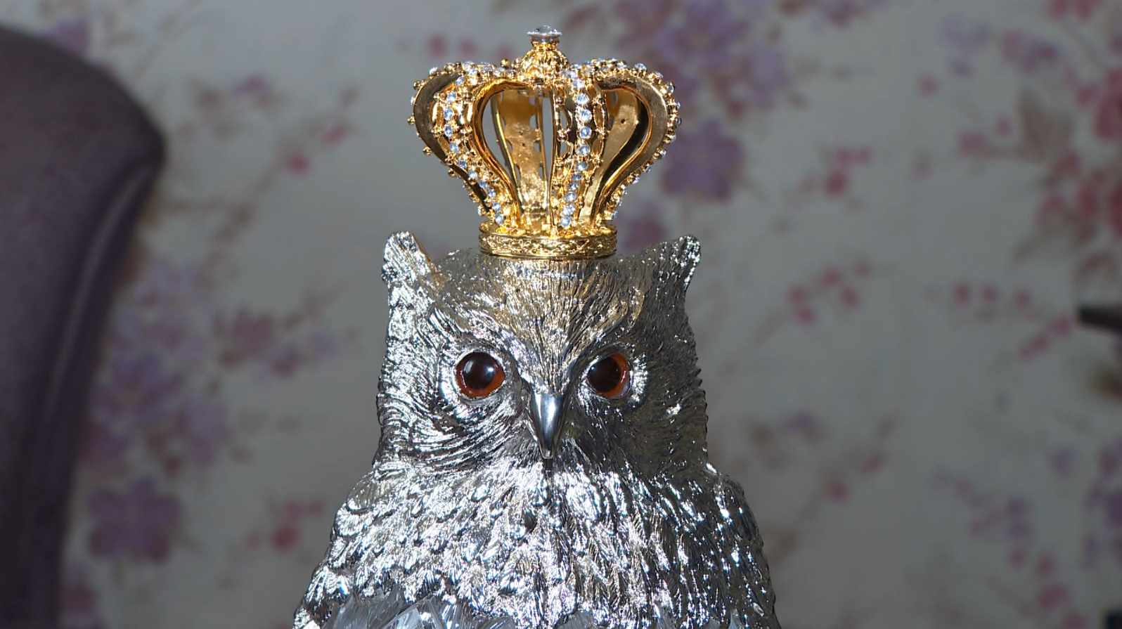 Крымчанка выиграла главный приз игры «Что? Где? Когда?» — «Бриллиантовую сову»