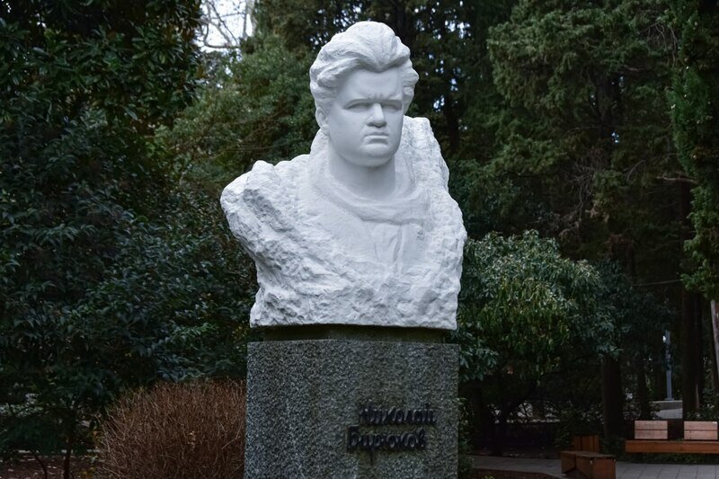 «Чайка» расправляет крылья: о жизни и подвиге писателя Николая Бирюкова