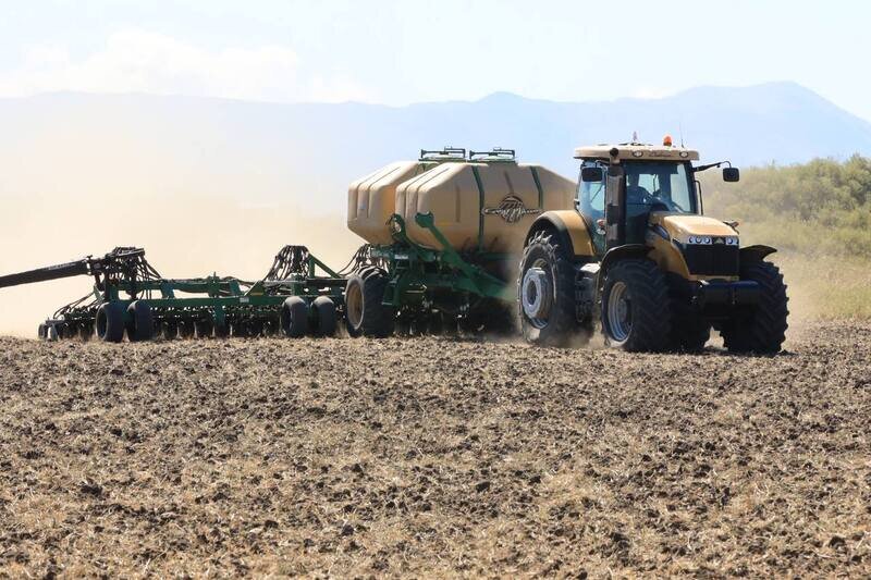 В Крыму засеют около 500 тысяч гектаров озимыми культурами
