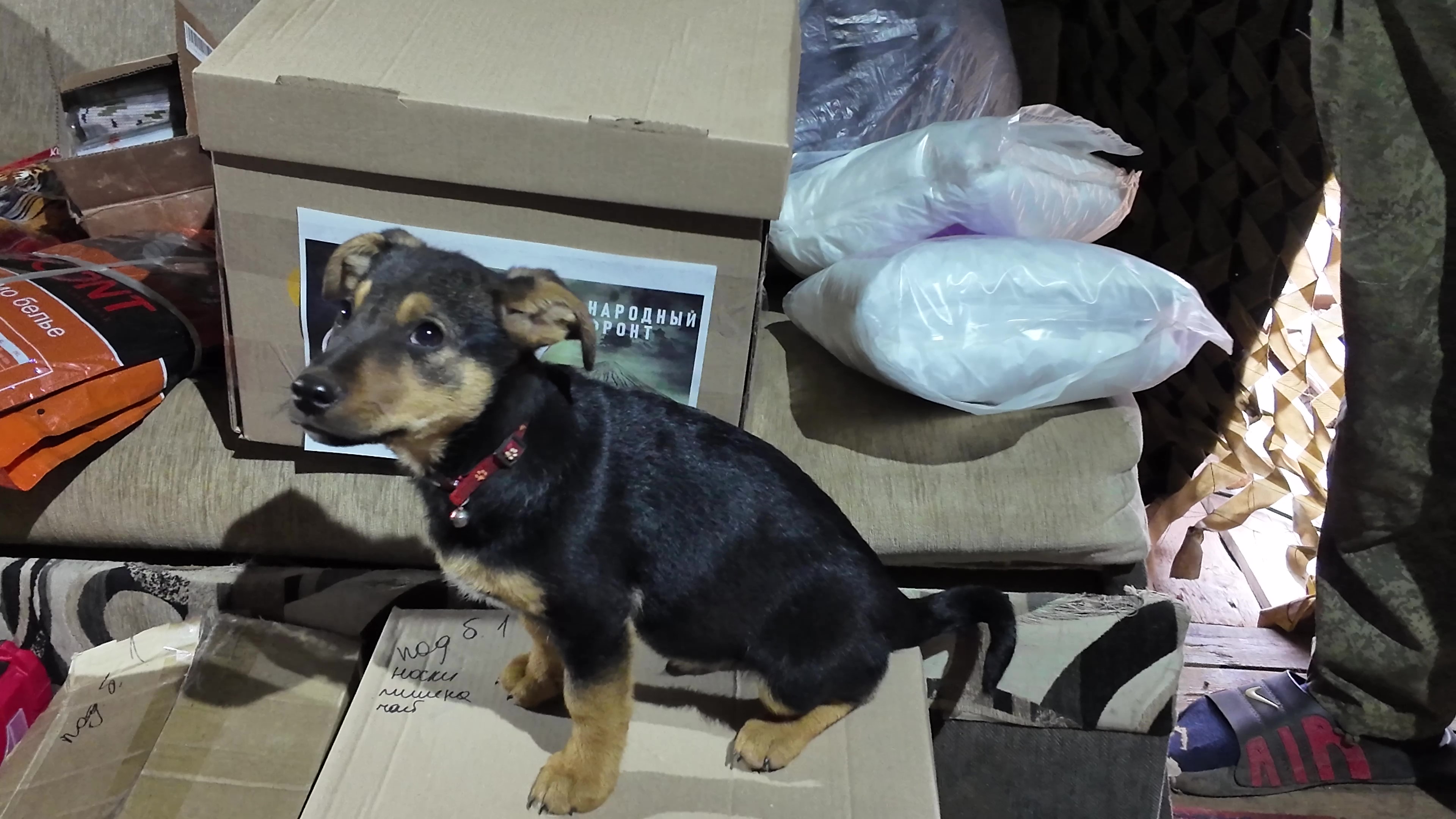 Жители Крыма передали для бойцов войск ПВО партию "зимней" помощи