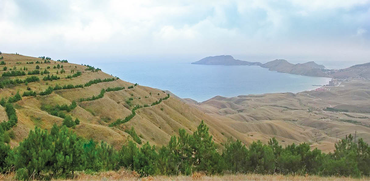 Время складывать камни: нетрадиционные способы бороться с засухой в Крыму