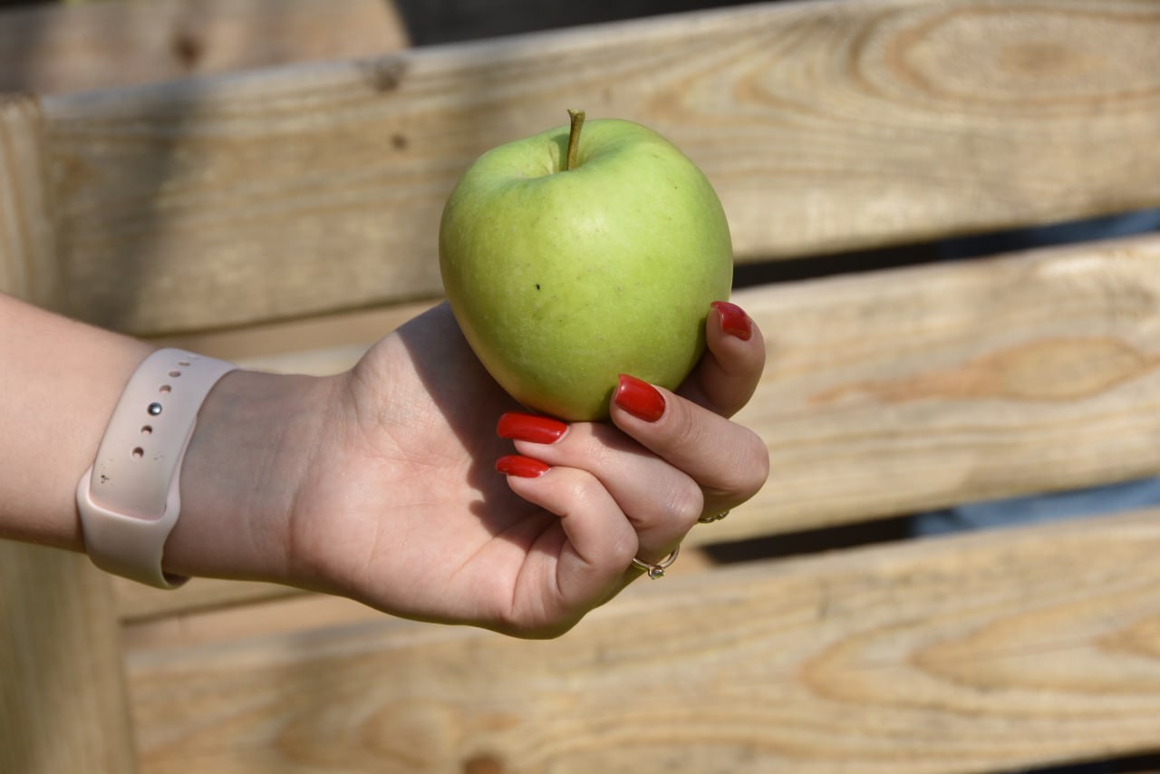 Симптомы железодефицита в организме и как его восполнить