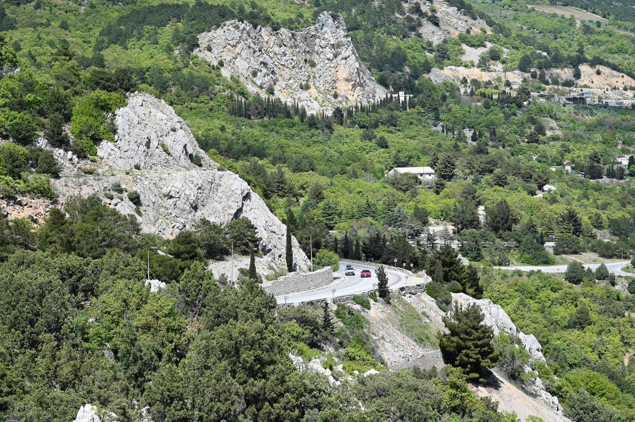 С начала года Ялтинский горно-лесной заповедник посетили 56 тысяч человек