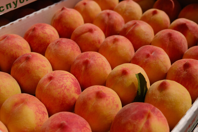 Красивые, сочные, свои: в Крыму стартовала уборочная кампания персиков