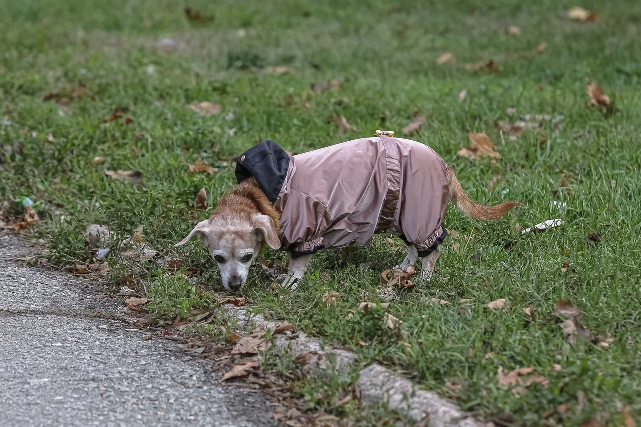 Погода в Крыму 13 октября: похолодание, местами дожди