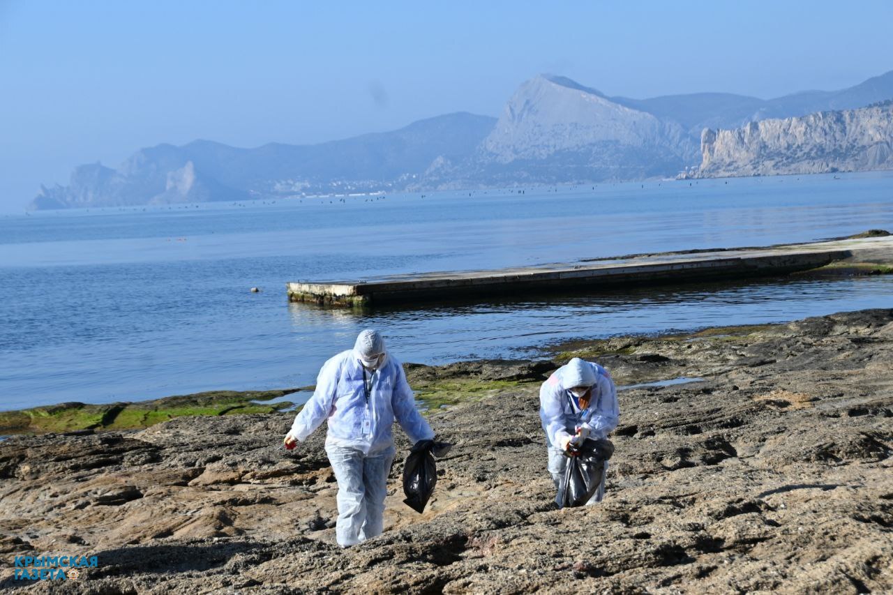 В Крыму собрали 719 тонн загрязненного песка и грунта