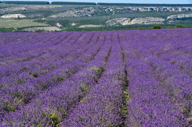 Погода в Крыму 13 июля: днём до +33