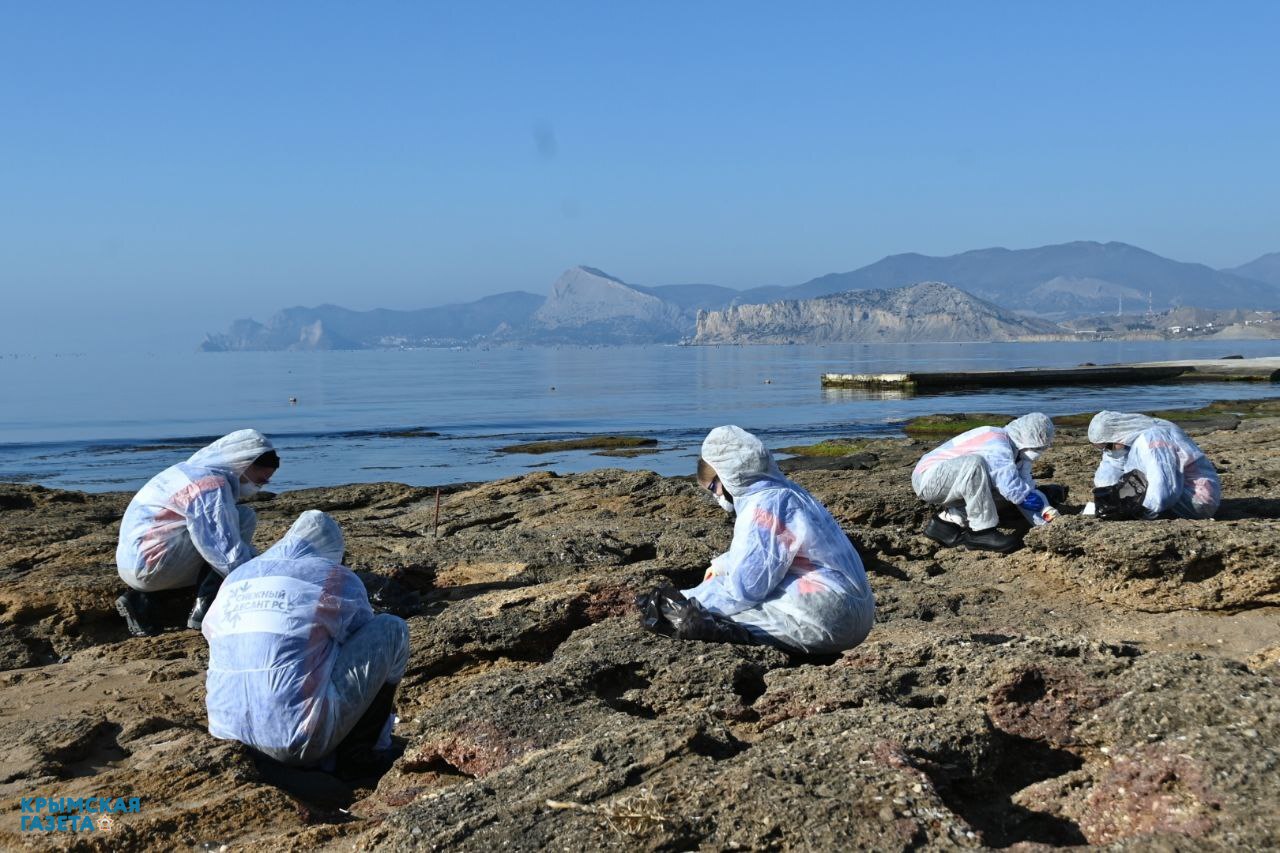 В Крыму за сутки обследовали свыше 450 км береговой линии