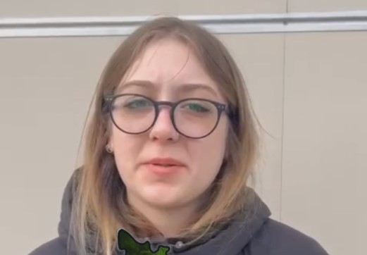 Раскаиваюсь и обещаю всё удалить: на границе с Крымом задержали нацистку