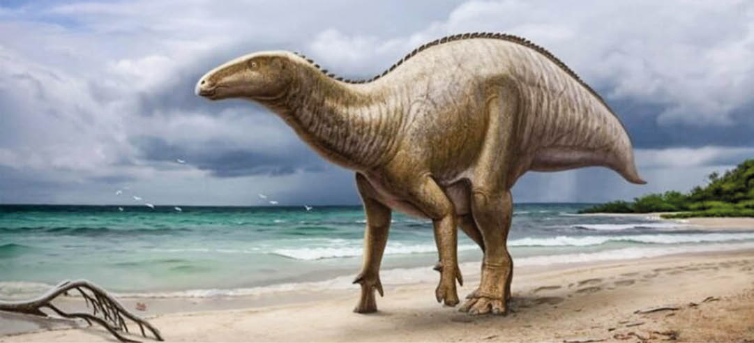 Загадки прошлого: последние динозавры доживали свой век в Крыму