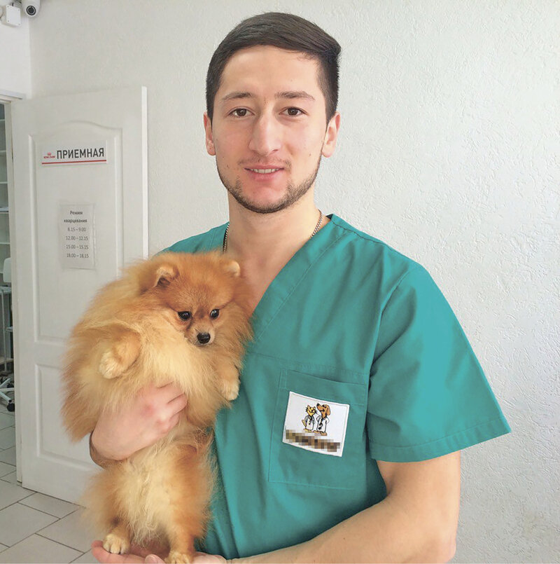 О самых необычных животных, жестокости людей и кусачих пациентах: как проходят будни ветеринара