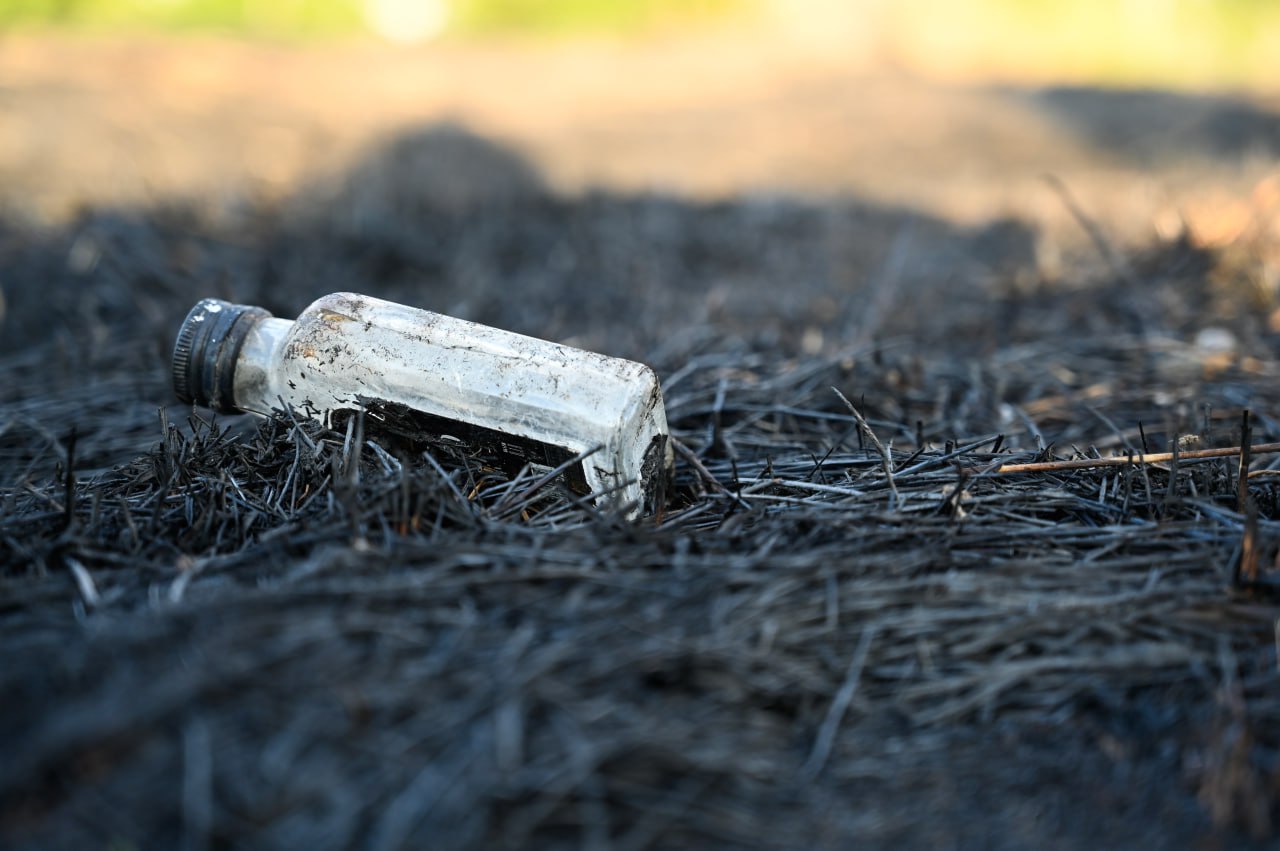 МЧС РК: за неделю на полуострове потушили более 200 пожаров