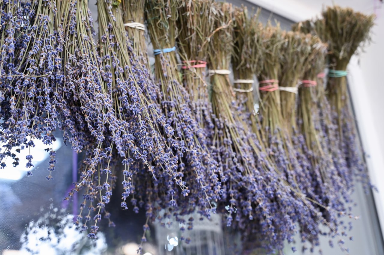 В Крыму зарегистрировали более 30 товарных знаков