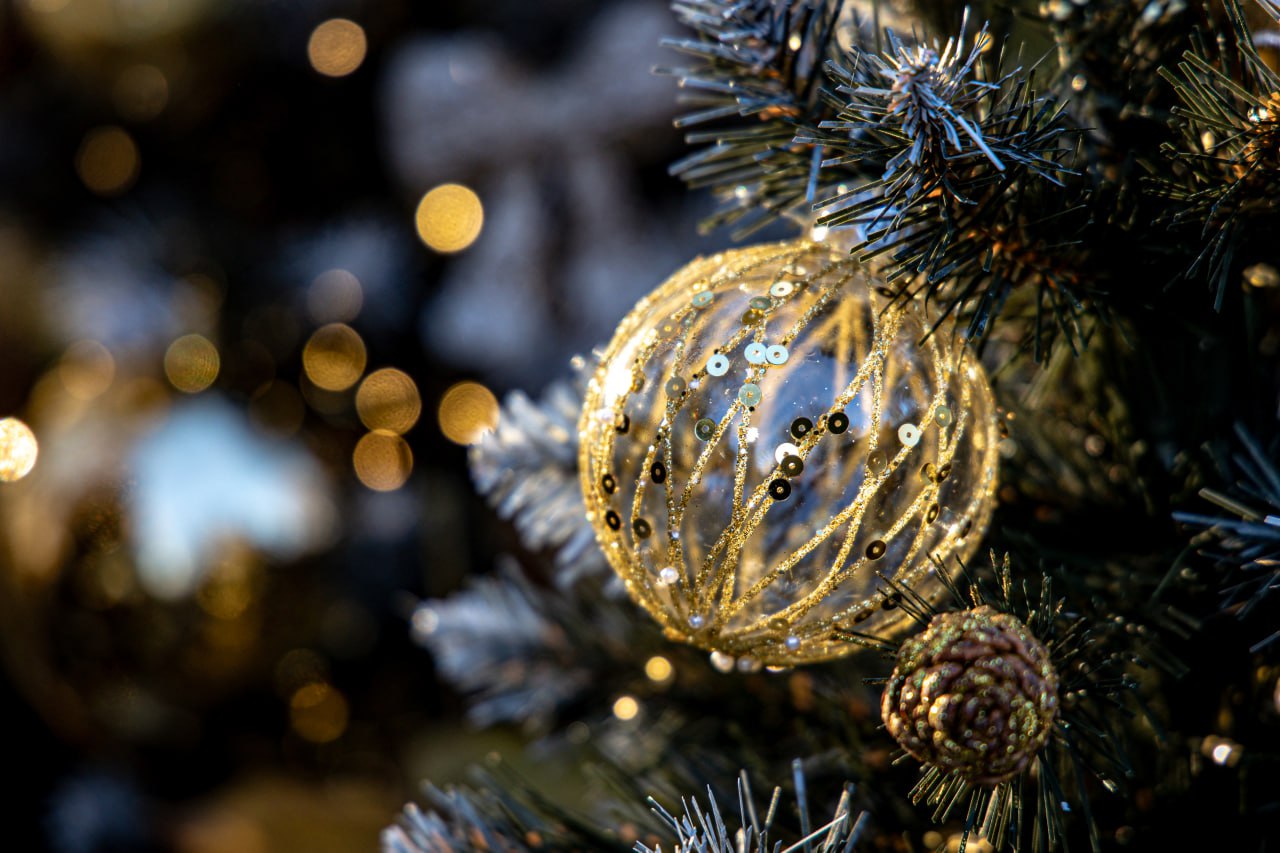 Готовимся к выходным: куда сходить и что посмотреть с 19 по 21 декабря в Крыму