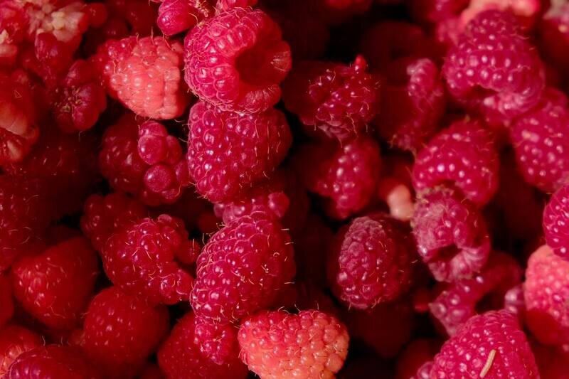 Сладкая ягода: как в Крыму собирают малину