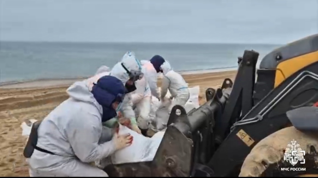  Почти 230 тонн загрязнëнного мазутом песка собрали с побережья Керчи