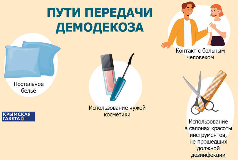 Сам маленький, а неприятности - большие: что такое демодекоз