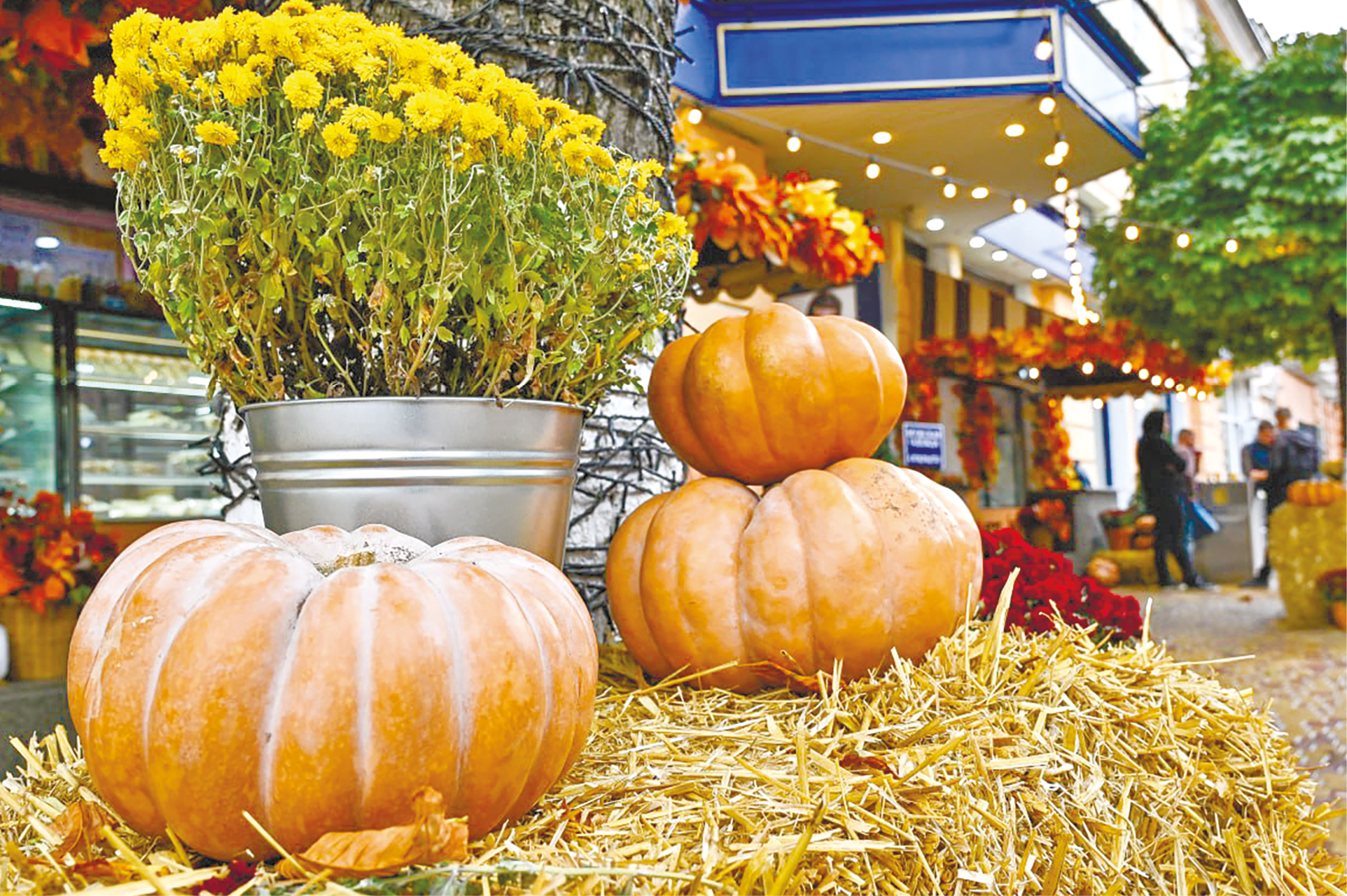 В чём польза витамина А и в каких продуктах он содержится