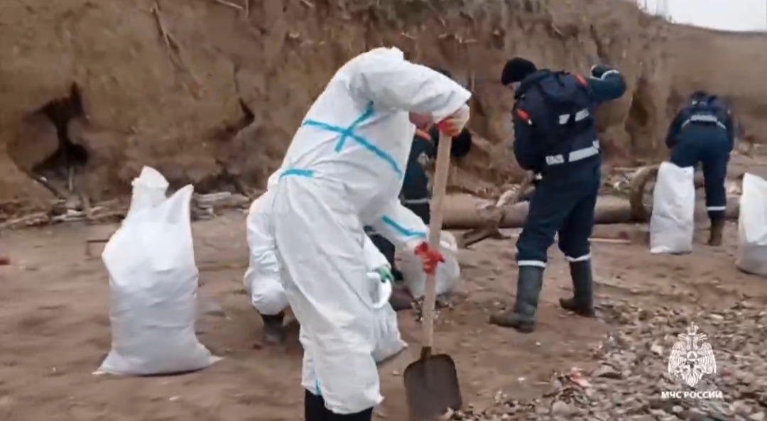 В Крыму за сутки не обнаружили новых пятен нефтепродуктов