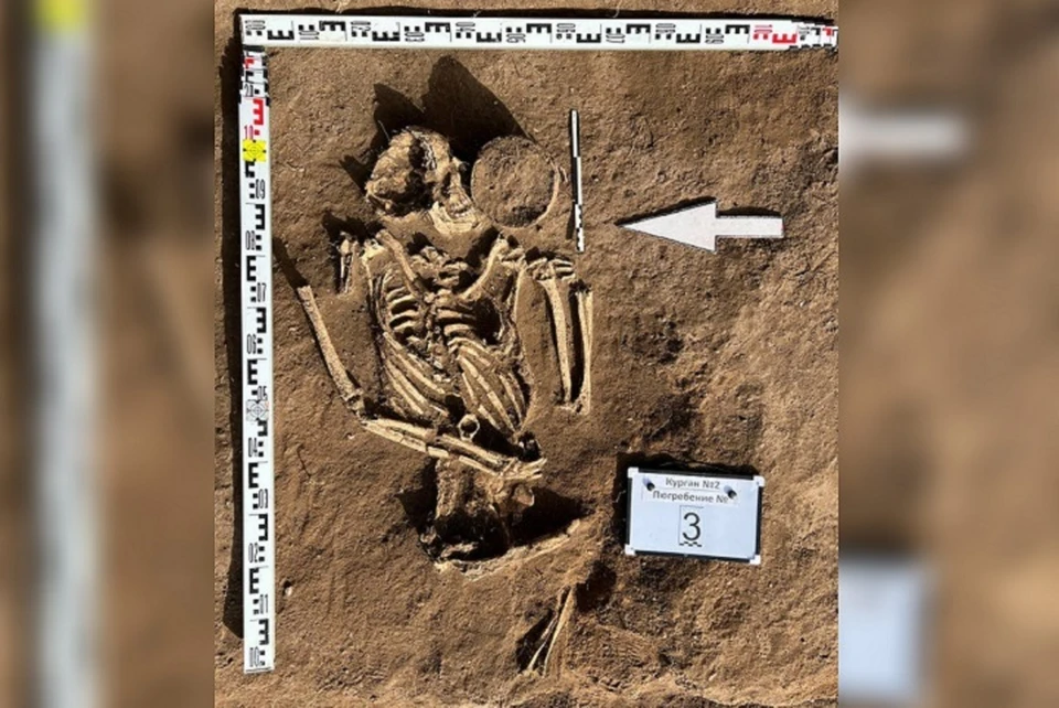 Под Симферополем раскопали курганы с захоронениями бронзового века