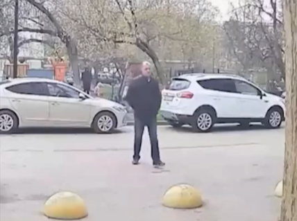 Полиция разберётся с живодёром, избившем собаку в Симферополе