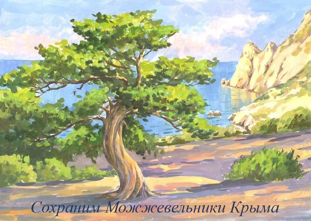 Юные крымчане выступили в защиту можжевельника