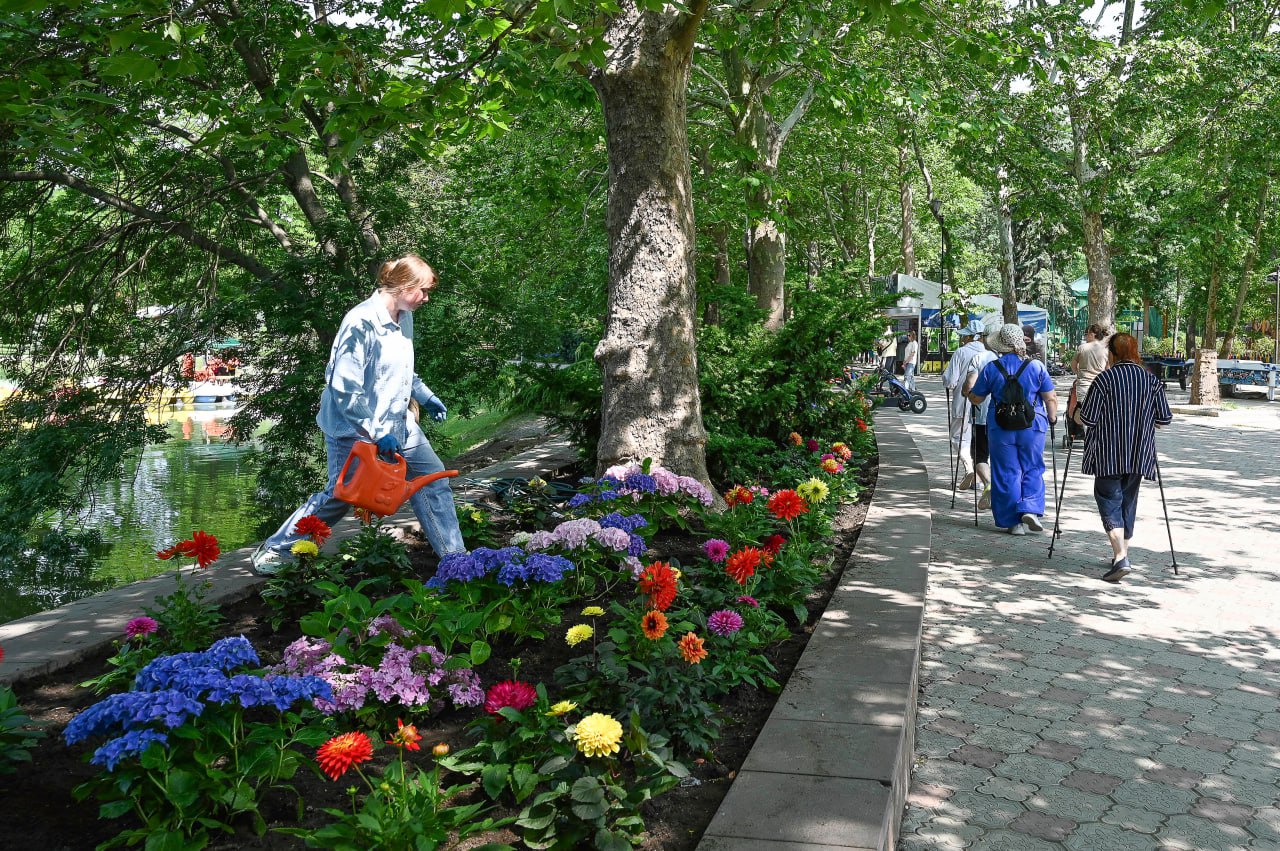 Тысячи ярких клумб и декоративных растений: как проходит масштабное озеленение Крыма