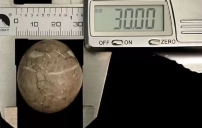 В Симферополе за 3 млн рублей продают кусок метеорита 