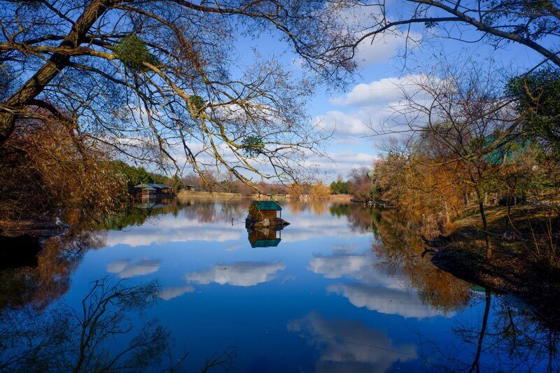 Погода в Крыму 24 января: днём до +11 