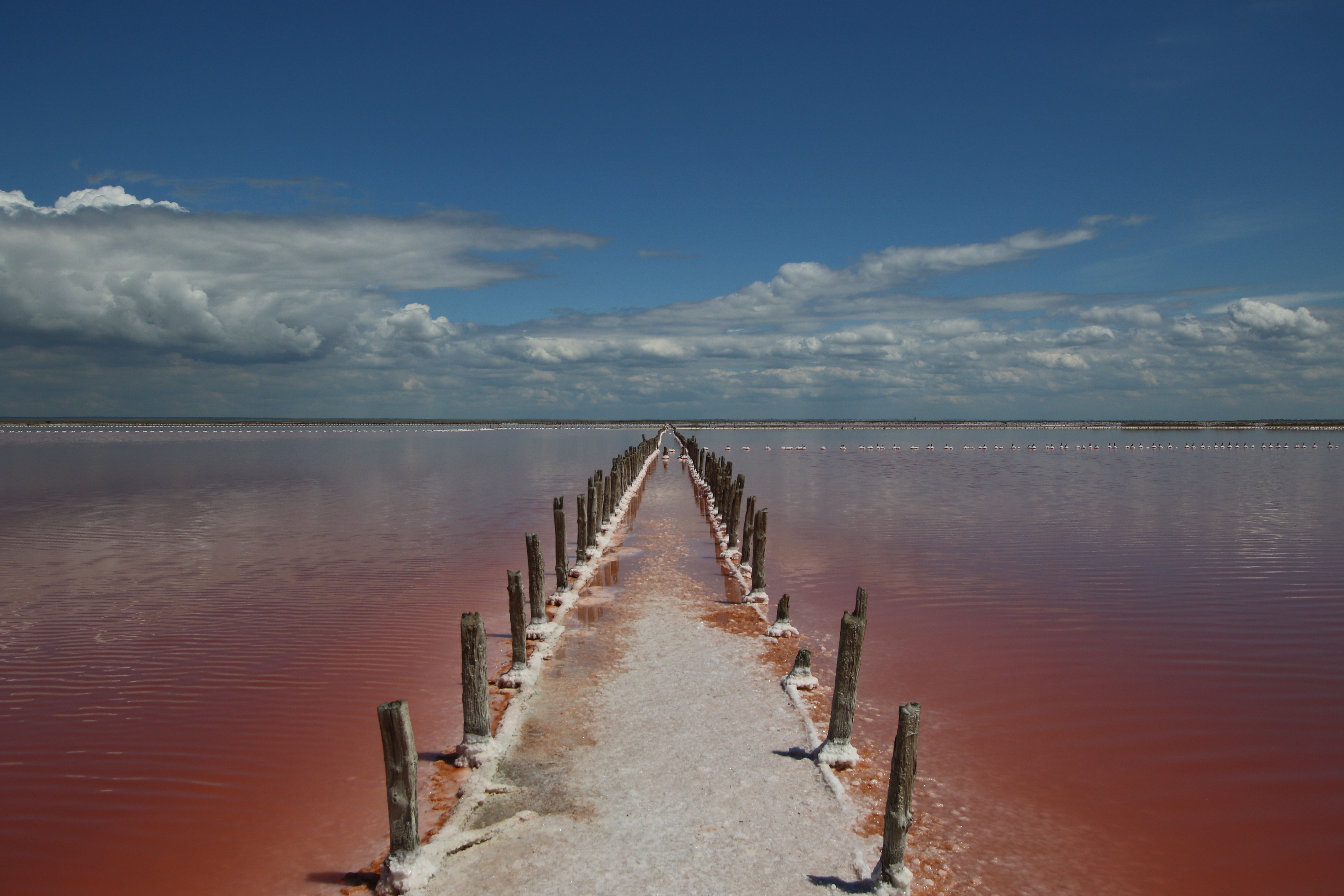 Розовые озера в Крыму - где лечиться, впечатляться и фотографироваться