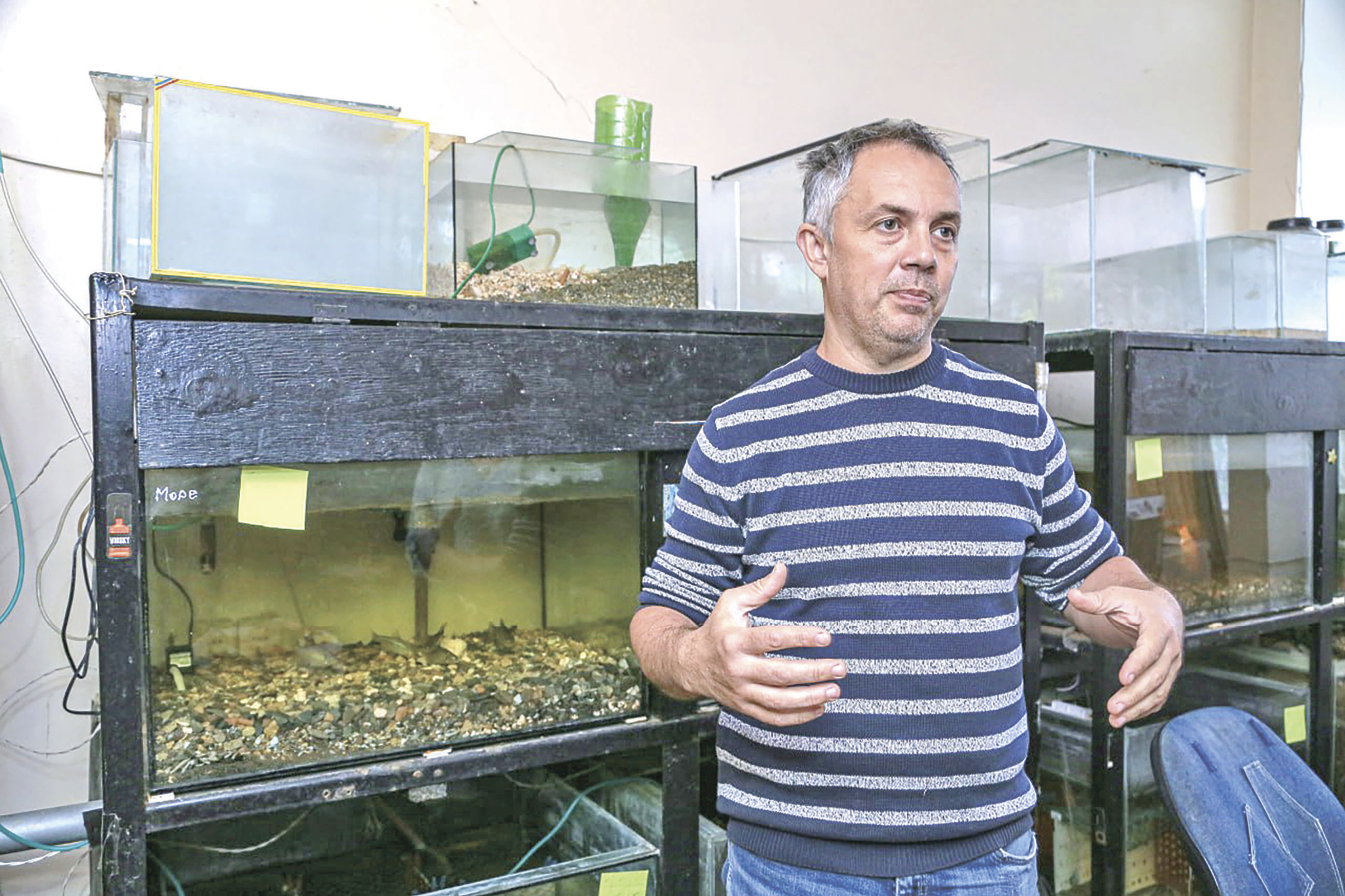 Как формируется цена на рыбу, куда делась керченская селёдка и дефицит рыбоводов: интервью доцента кафедры экологии и зоологии КФУ