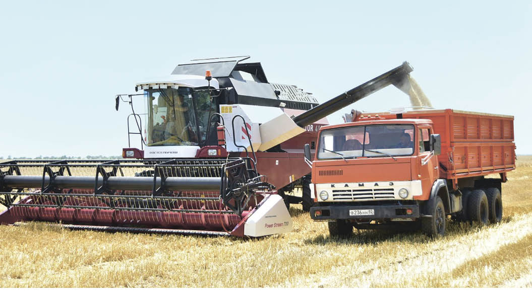 Эксперт рассказал, каким будет урожай зерновых в этом году