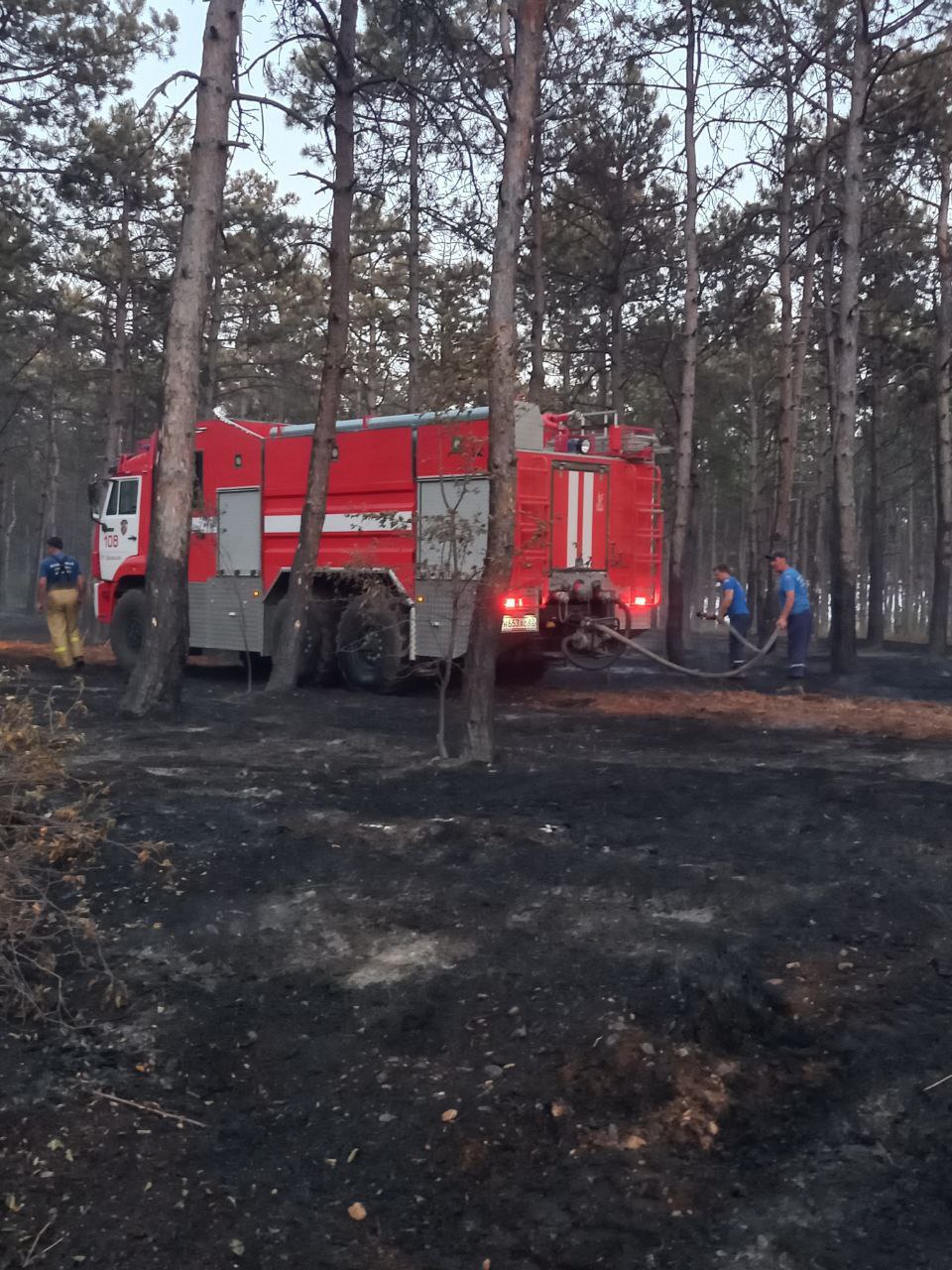 Природный пожар в Симферопольском районе локализован: площадь возгорания 118 гектаров 