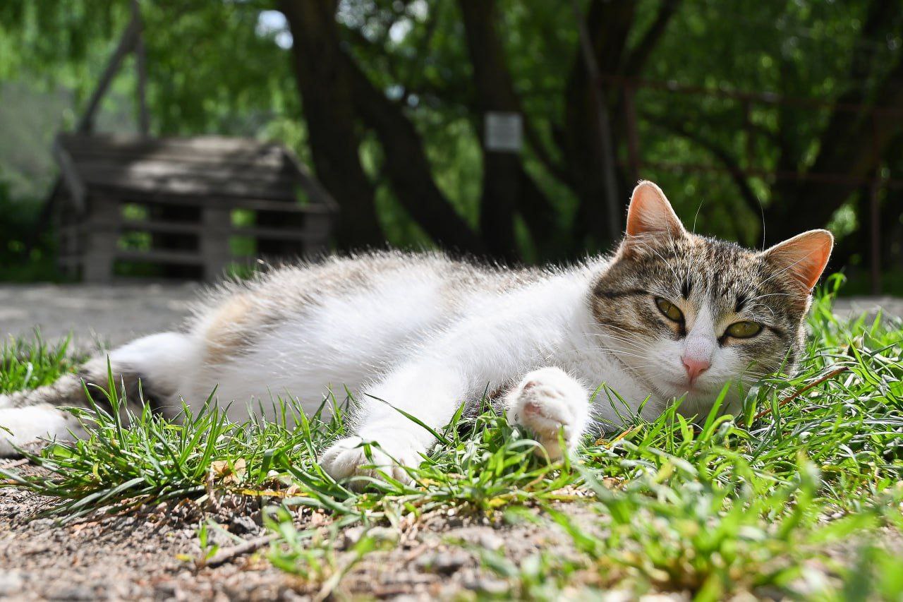 Погода в Крыму 24 мая: днём до +27