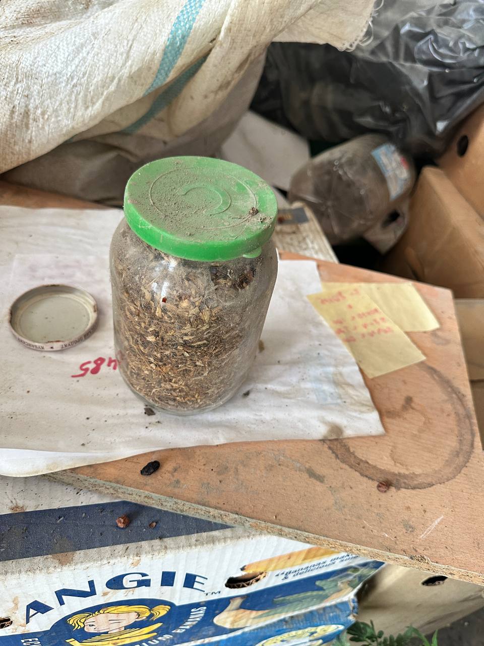 В Феодосии задержан мужчина с марихуаной, найденной в лесу