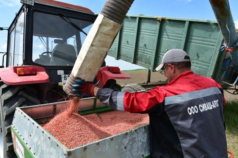 В Крыму закончили сев озимых культур под урожай следующего года