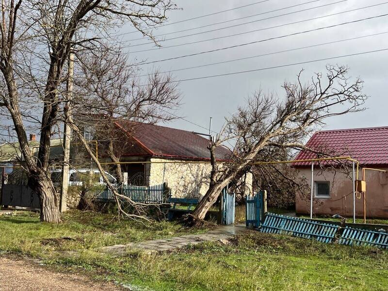 МЧС РК: ураган нанес Крыму ущерб на полмиллиарда рублей 