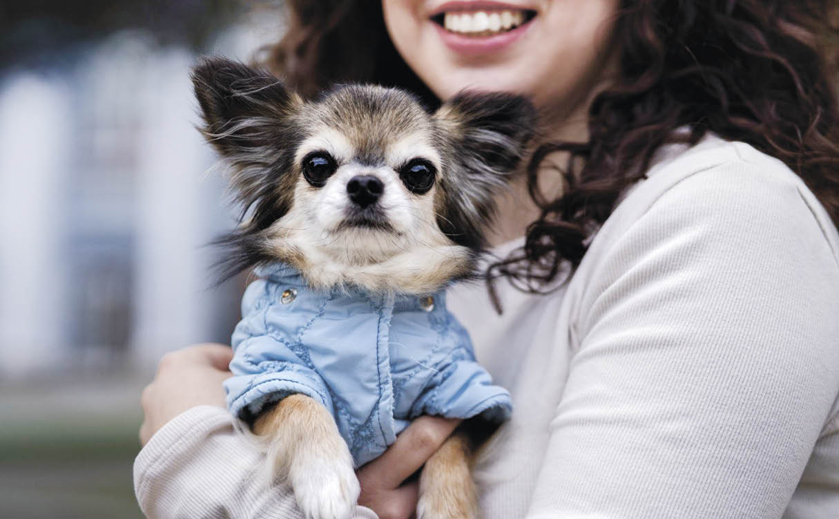 Почему собаки любят спать на вещах хозяина