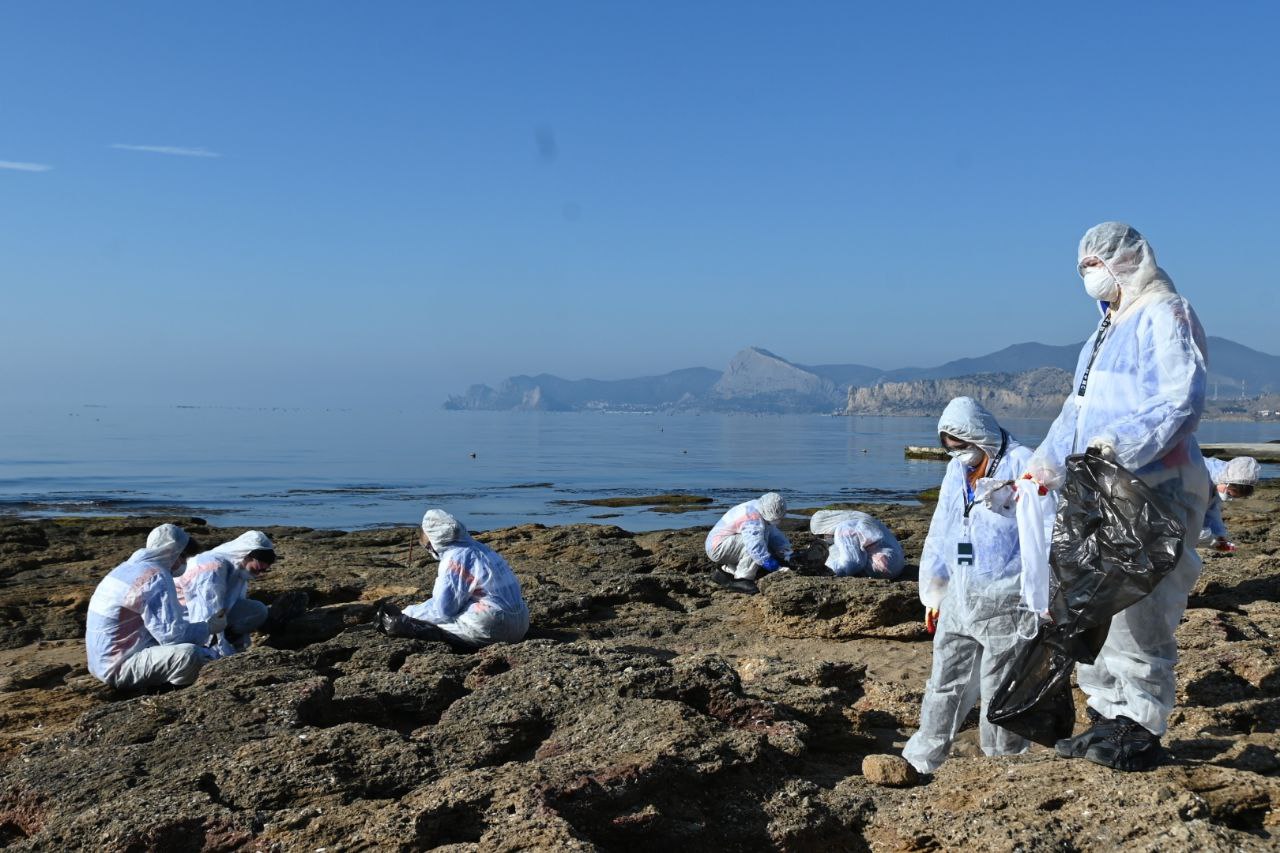 В Крыму собрали почти 700 тонн загрязненного песка и грунта.