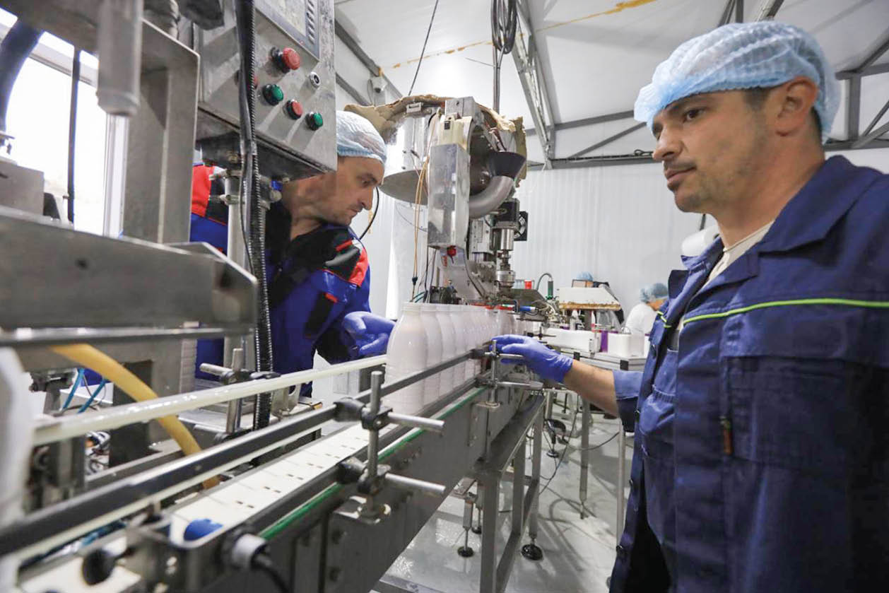 Субсидии и животноводческие комплексы: стратегия роста молочного производства в Крыму