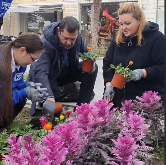В Ялте высадят 70 тысяч цветов 